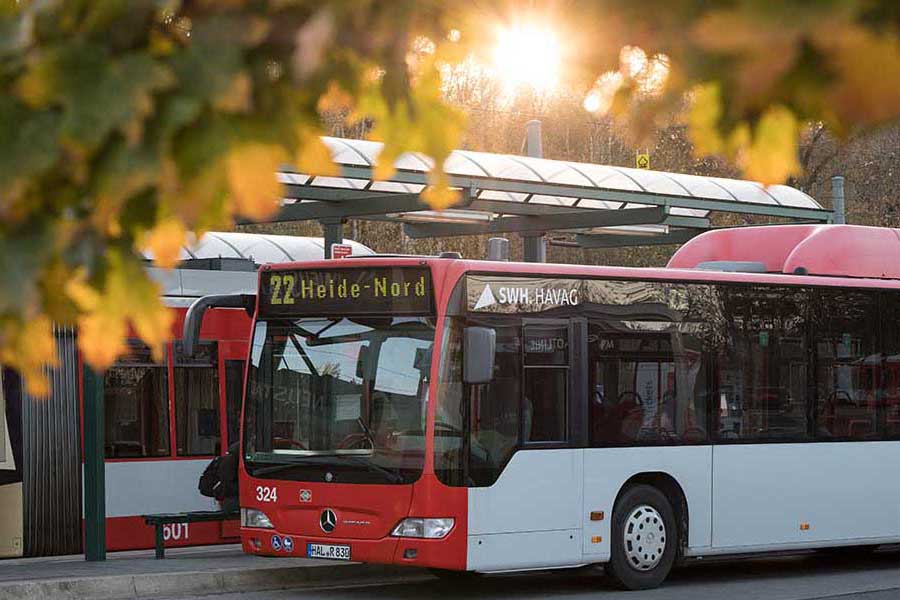 Bus und Bahn an Haltestelle.