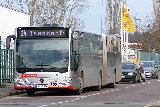 Buslinie 24E fährt ab Montag wieder in der Silberhöhe