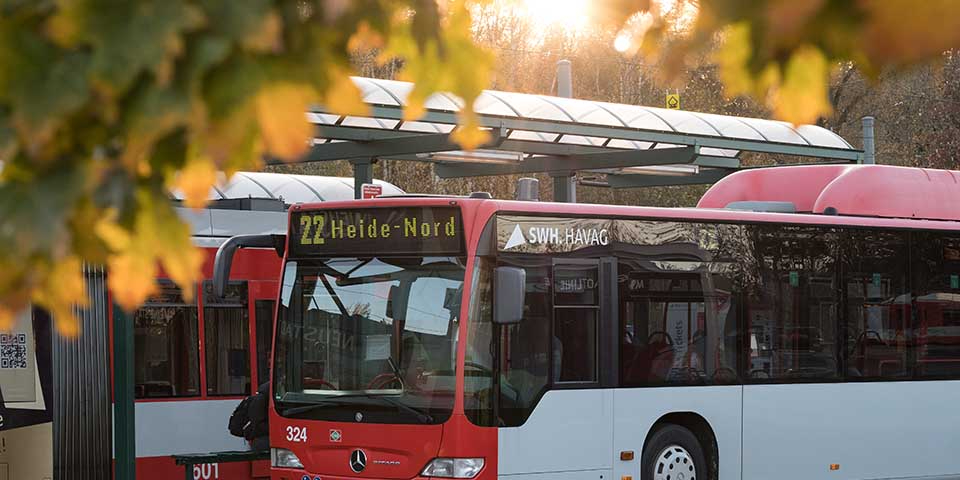 Bus und Bahn an Haltestelle.