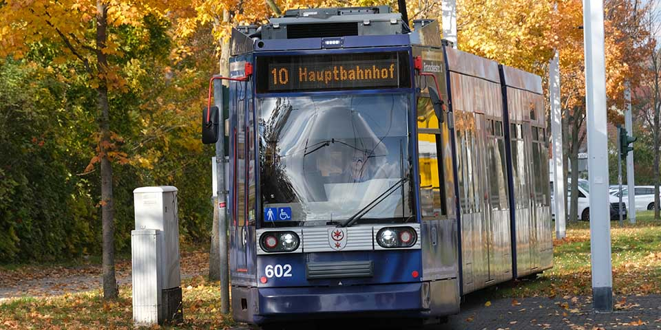 Blaue Straßenbahn Linie 10 fährt auf Gleisen durch herbstliche Baumallee mit gelb-orange gefärbtem Laub.