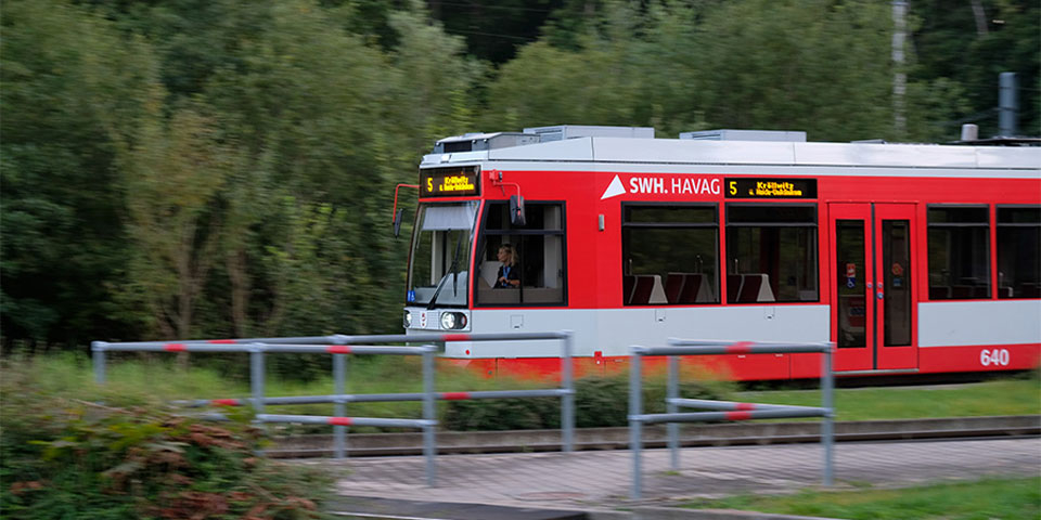 Eine rote Straßenbahn der Linie 5 mit der Zielanzeige 'Kröllwitz' fährt auf Gleisen und einer Grünfläche vorbei.