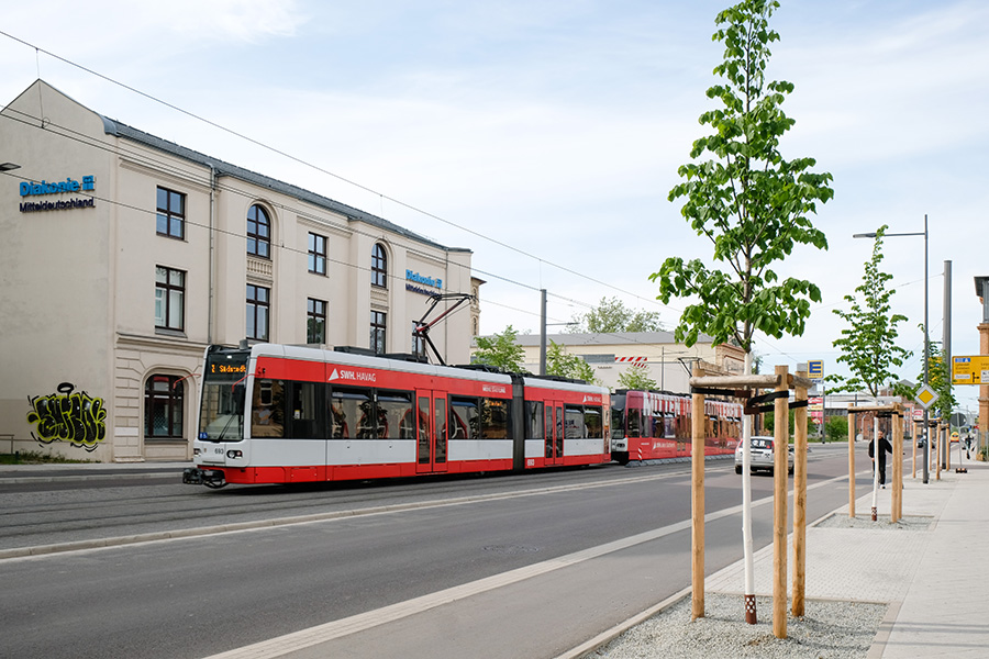 Das Foto zeigt im Vordergrund einen breiten, hellen Gehweg mit jungen grünen Bäumen. Neben dem Gehweg befindet sich ein Fahrradweg und daneben die Fahrbahn und eine leicht erhöhte Straßenbahntrasse, auf der eine Straßenbahn fährt.