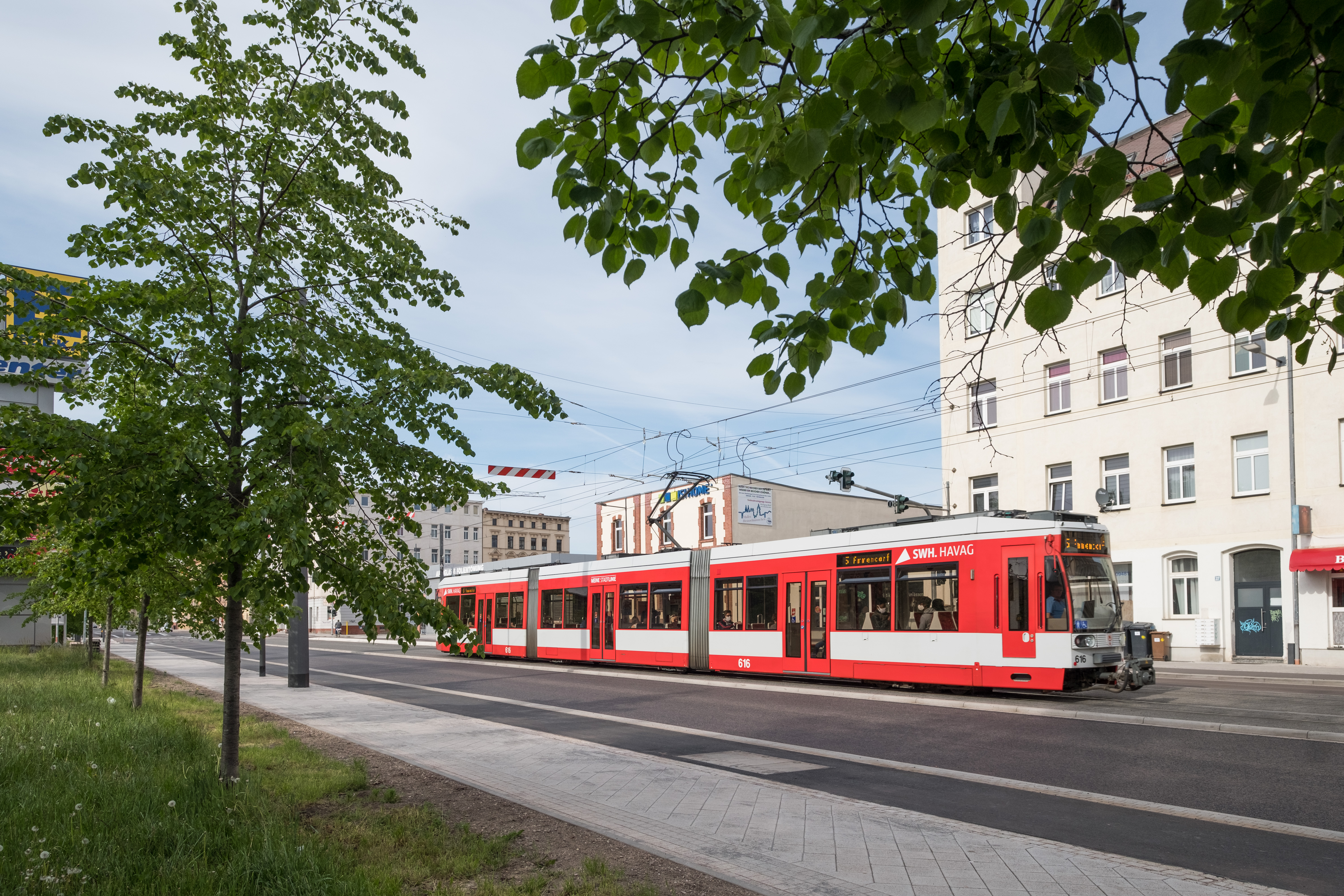 Das Foto zeigt eine Straße in dessen Mitte leicht erhöht eine Straßenbahntrasse liegt. Darauf fährt eine rote Straßenbahn der HAVAG. Rechts und links der Straße sind helle Häuser und im Vordergrund Bäume abgebildet.
