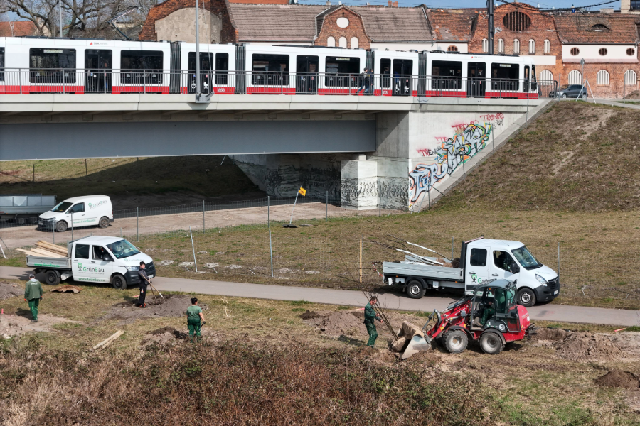 Blick auf die Brücke vor welcher Bäume gepflanzt werden.