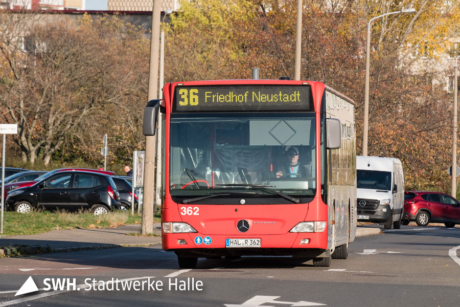 Ein roter Bus der HAVAG fährt auf einer Straße. Im Hintergrund sind Bäume und andere Autos zu sehen. Die Zielaufschrift lautet "36 Friedhof Neustadt".
