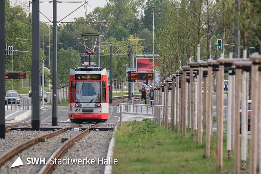 Eine rote Straßenbahn der HAVAG fährt direkt auf den Fotografen zu. Im Hintergrund sind große Bäume zu sehen. Am linken Bildrand fahren Autos. Am rechten Bildrand stehen neu gepflanzte Bäume.