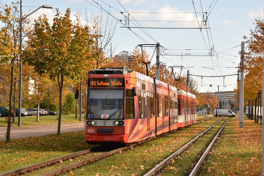 Die rote Straßenbahn der Linie 10, mit der Zielaufschrift "10 - Soltauer Straße" fährt auf begrünten Schienen direkt auf den Fotografen zu.