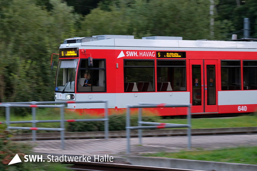 Eine rote Straßenbahn der HAVAG fährt von rechts nach links durch das Bild. Als gelbe Zielaufschrift steht "5 Kröllwitz ü. Halle-Uniklinikum". Im Hintergrund sind Bäume. Die Straßenbahn wird von einer Frau mit blonden Haaren gefahren.