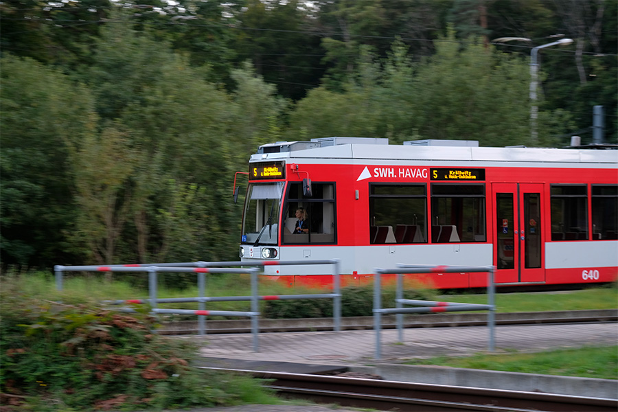 Eine rote Straßenbahn der HAVAG fährt von rechts nach links durch das Bild. Als gelbe Zielaufschrift steht "5 Kröllwitz ü. Halle-Uniklinikum". Im Hintergrund sind Bäume. Die Straßenbahn wird von einer Frau mit blonden Haaren gefahren.