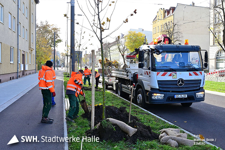 Vier Personen, vermutlich Männer, stehen in orangefarbener Jacke und grüner Arbeitshose auf und links neben dem Grünstreifen in der Merseburger Straße. Auf der Fahrbahn steht ein kleiner LKW mit Anhänger, aber dem die einzupflanzenden Bäume liegen.