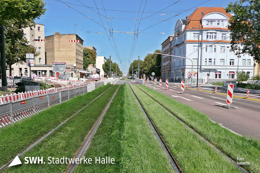Ein Blick in die langgestreckte Merseburger Straße. Der Fotograf steht direkt auf den Gleisen der Straßenbahn. Es sind Rasengleise. Links und rechts der Gleise ist frischer Rasen zu sehen. Jeweils daneben sind die Straßenspuren der Autos und dahinter der Wohnhäuser. Der Himmel ist blau und wolkenlos.