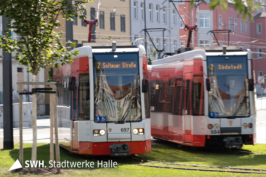Zwei Straßenbahnen der Linie 2 stehen eng beieinander. Die eine Zielaufschrift lautet "Soltauer Straße", die andere "Südstadt". Sie fahren auf einem Grüngleis. Die Sonne scheint.