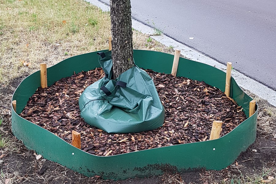 Baum mit Schutzmaßnahmen.