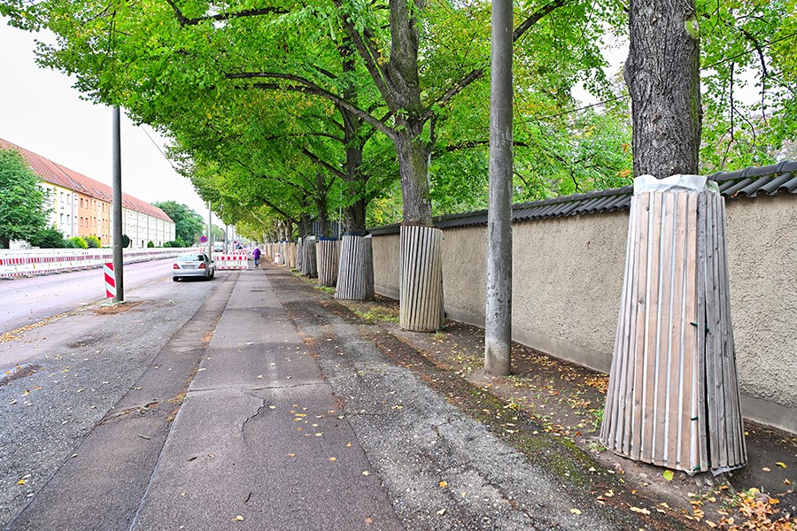 Baumschutzmaßnahmen.
