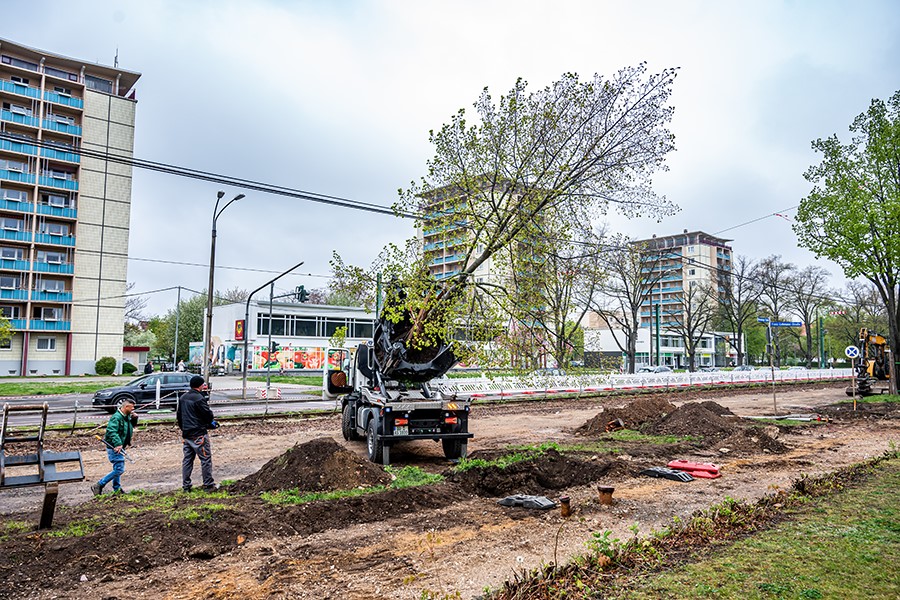 Baum wird aufgeladen.