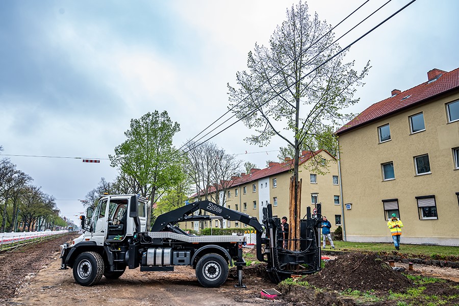 Baum wird mit Spezialfahrzeug eingesetzt.
