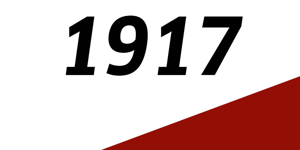 Das Jahr 1917