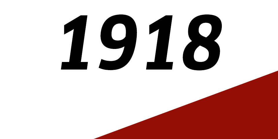 Das Jahr 1918