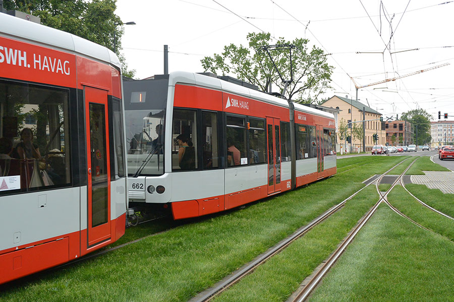 Straßenbahn auf Rasengleis.