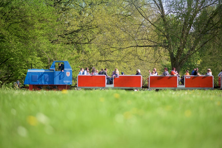 Parkeisenbahn in Halle.