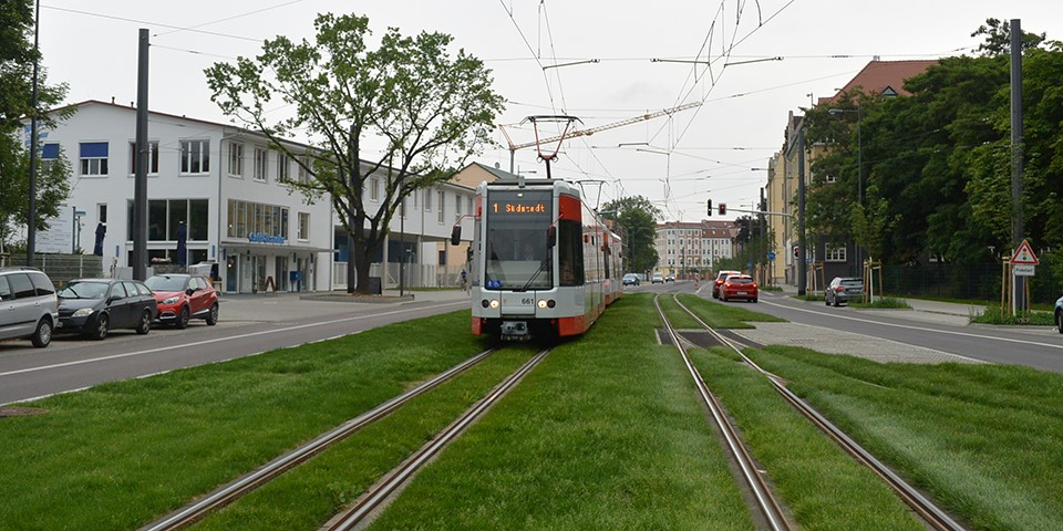 Straßenbahn auf Rasengleis.
