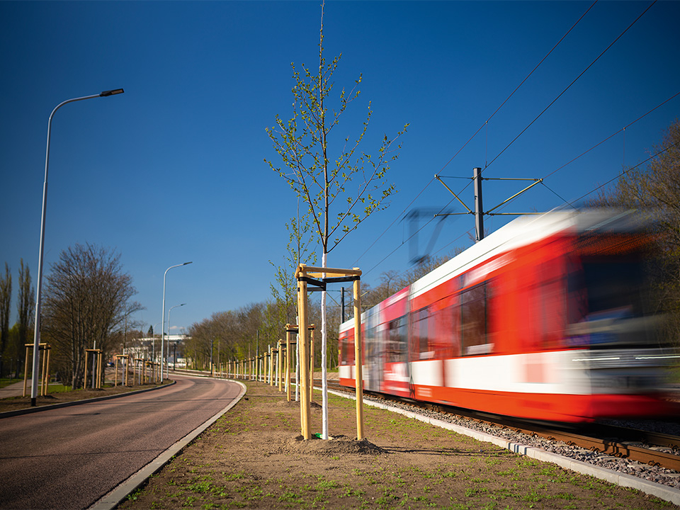 Bahn nebenbegrünter Fläche.